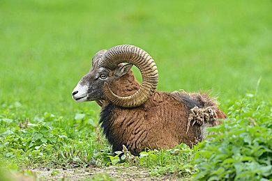 《风中行者》队友复活机制引玩家批评 厂商承诺优化