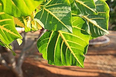 人气音乐动作冒险游戏续作《曲途2》Steam页面公开！2026年发售